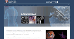 Desktop Screenshot of bouxseinlab.org